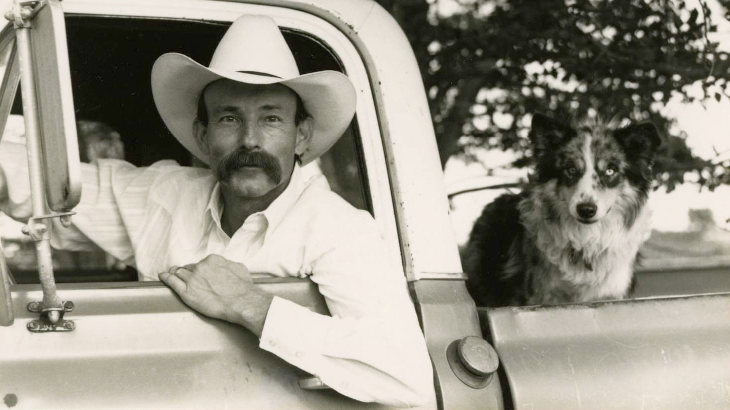 The Vegetarian's Nightmare (or A Dissertation on Plants' Rights)