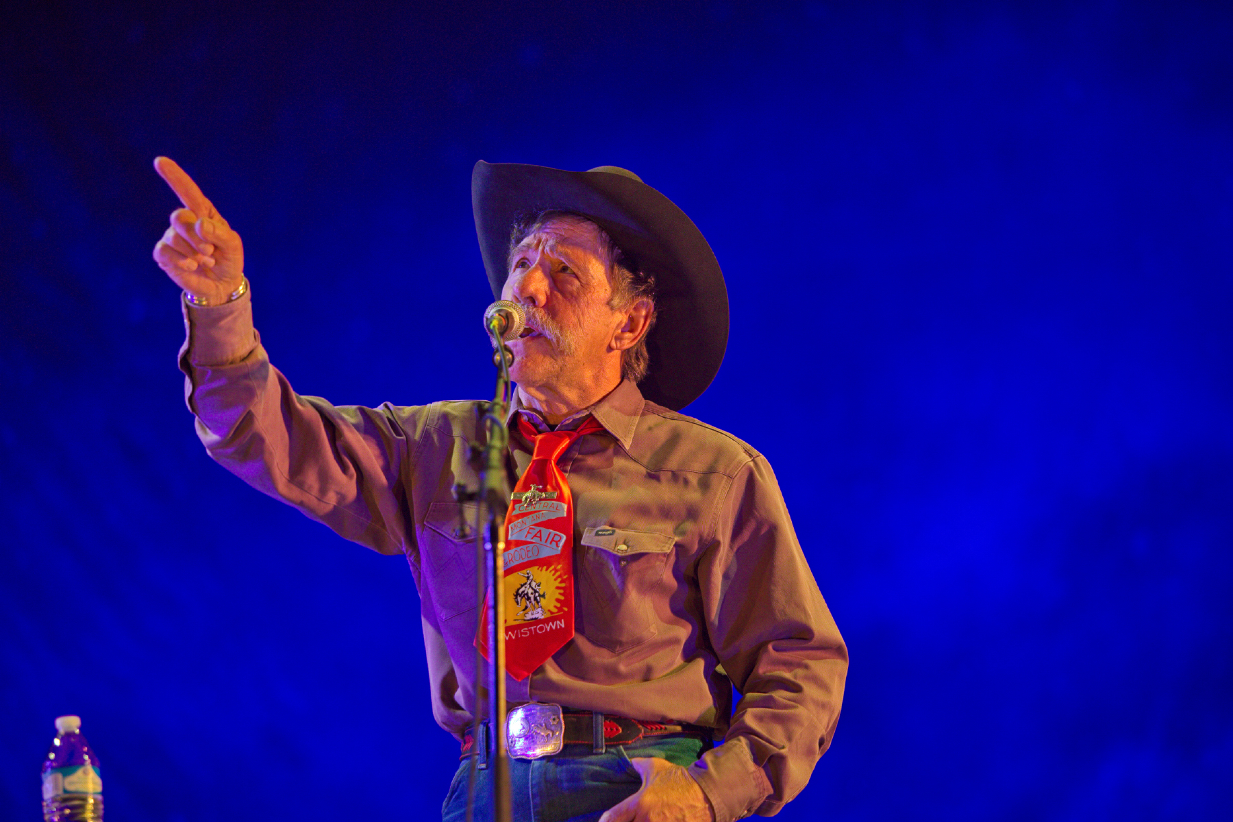 The Whale in My Wallet