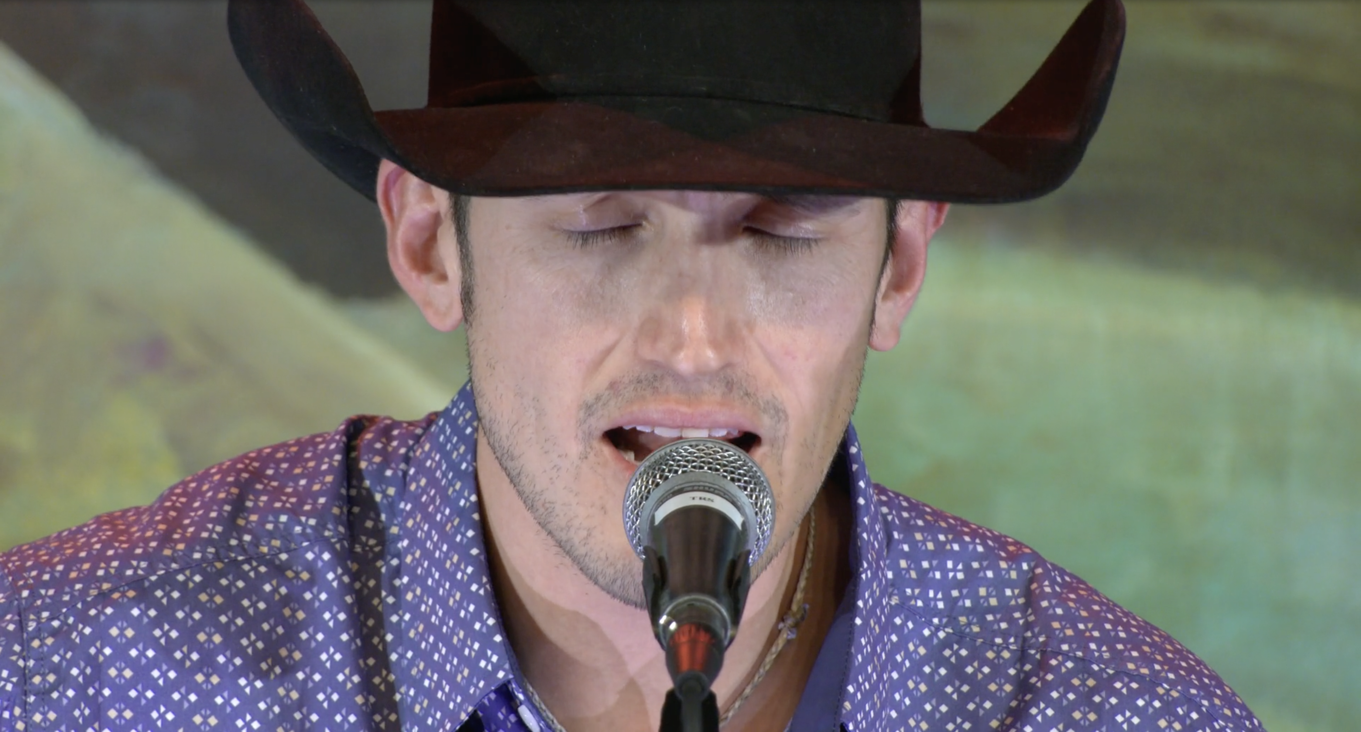 Feather in the Grass