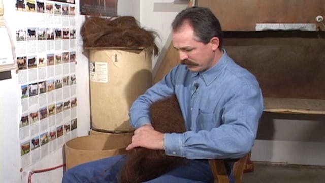 Horsehair Braider Doug Krause