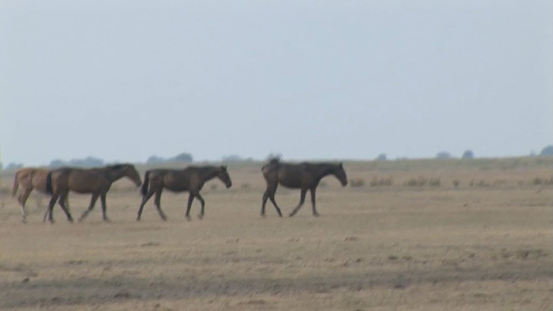 The Western Folklife Center Visits Hungary