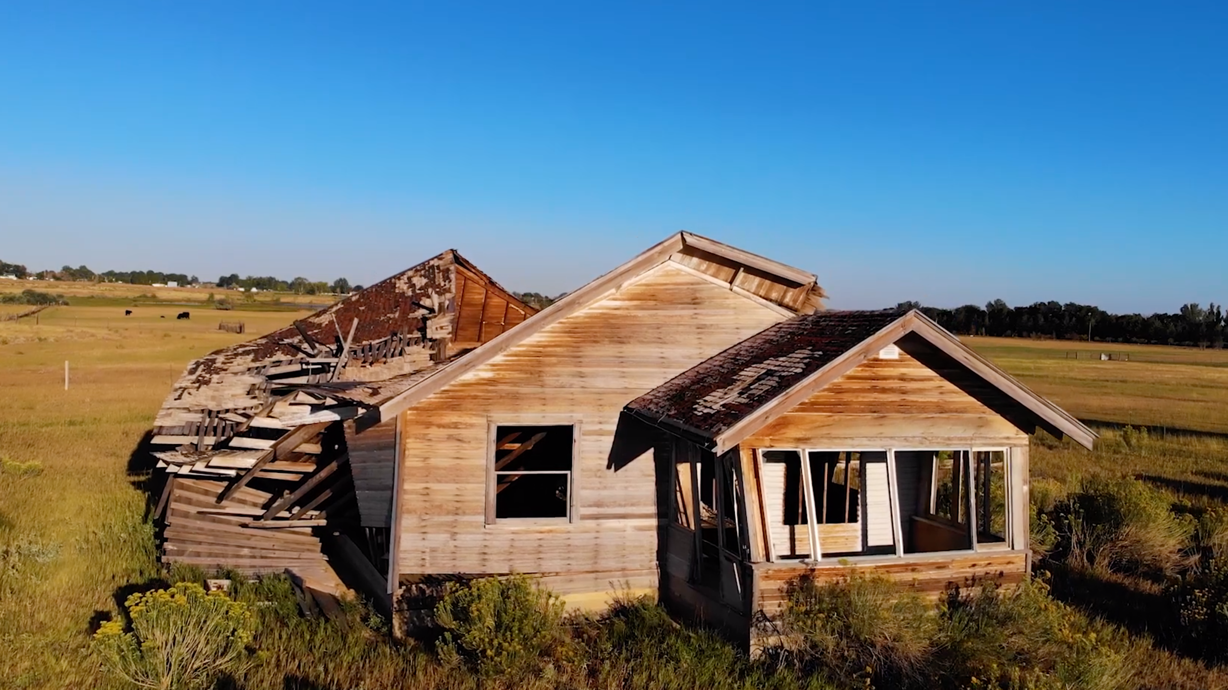 Why Here, Then Gone?