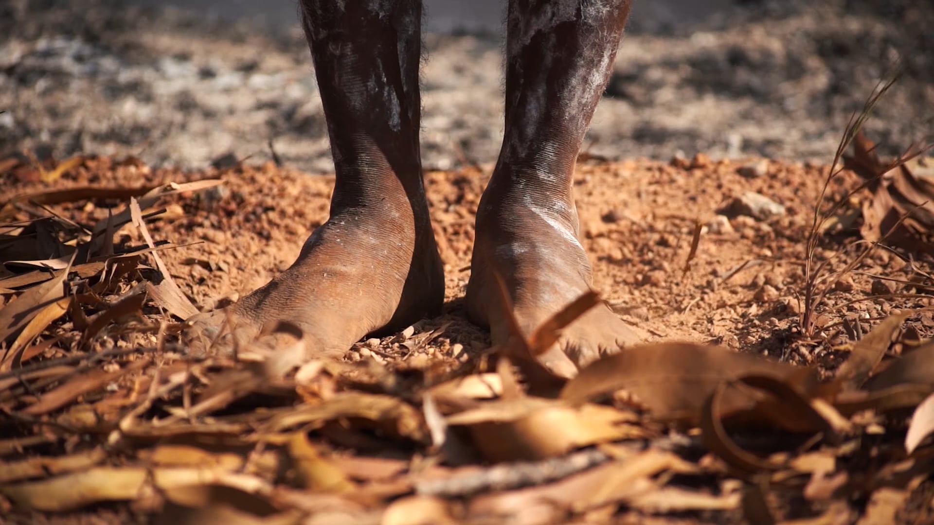 Barra West Wind - Songline