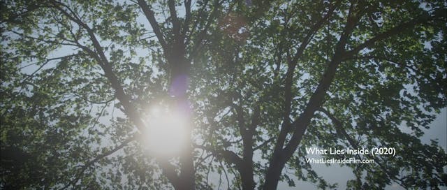 40 - The Importance of Other People -...