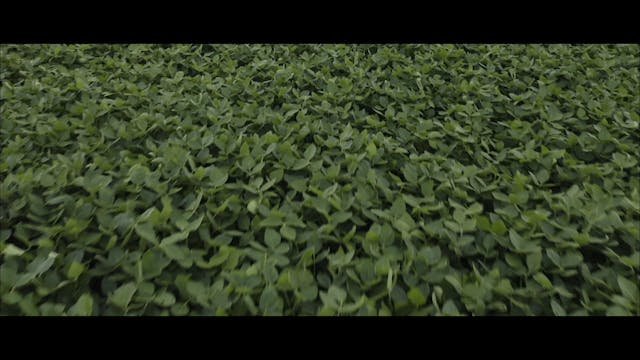 04 - Thoughts on Wellness