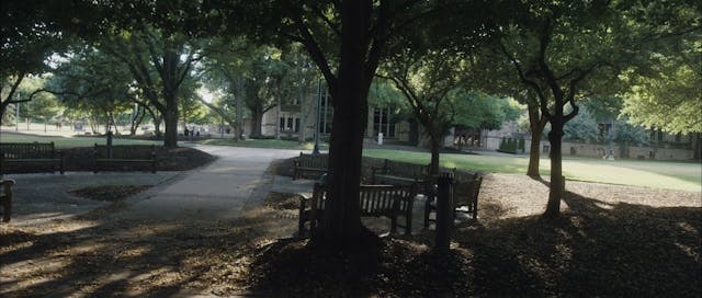 17 - Trauma Before the War