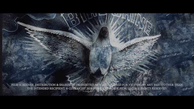 WHAT LIES INSIDE - Screener