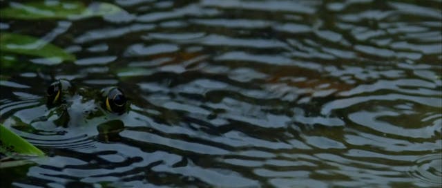 41 - We Belong Here - Full