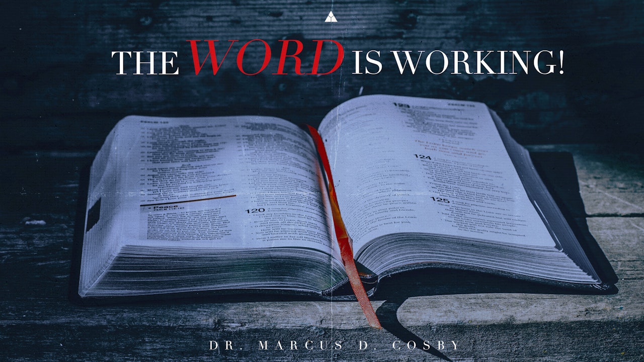The Word is Working! | August 7, 2022