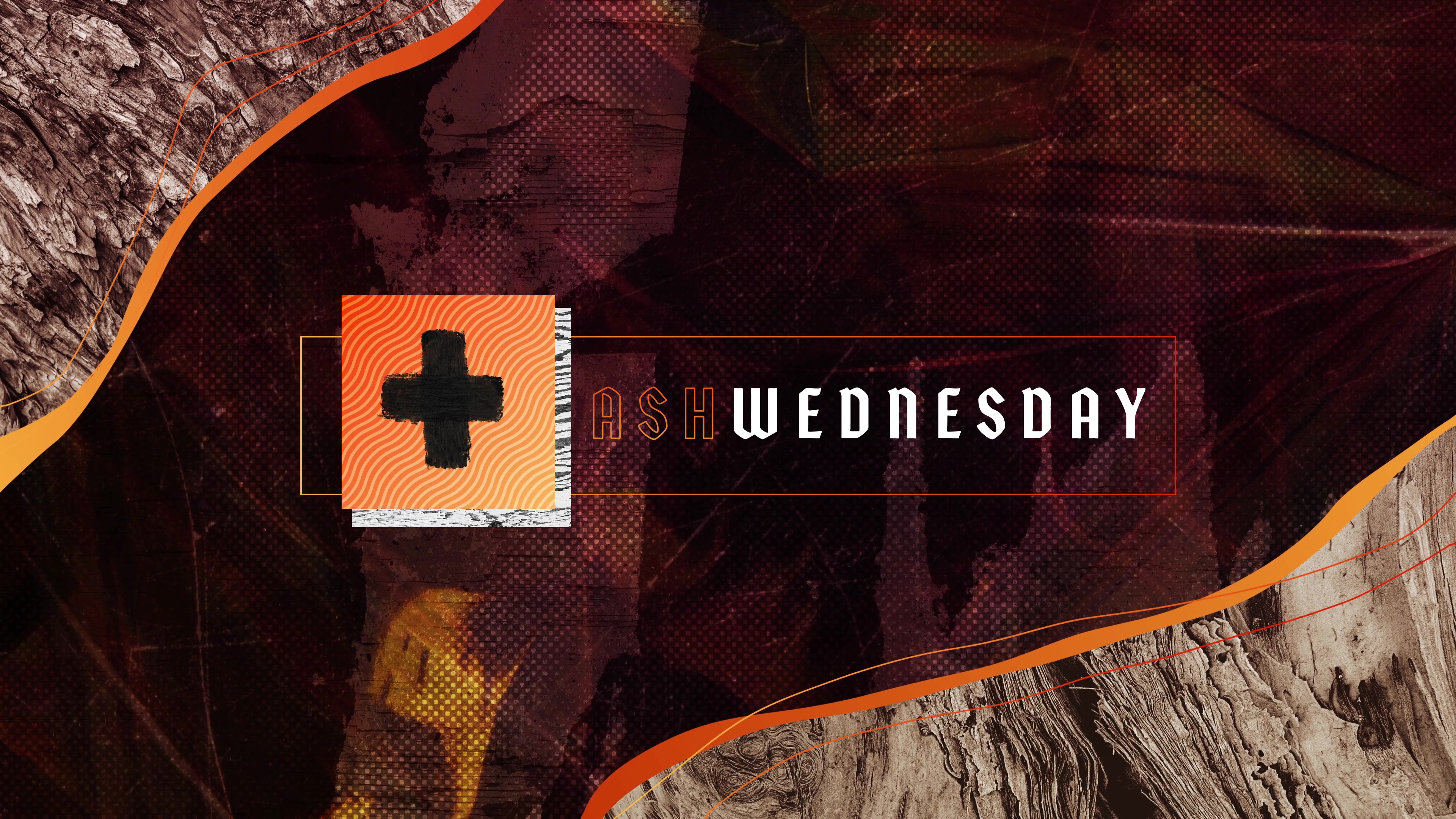  Look at All This Space | February 14, 2024