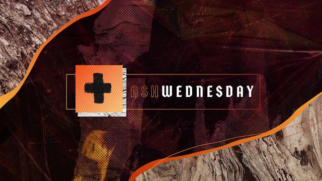 Look at All This Space | February 14...