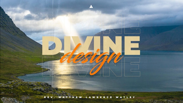 Divine Design - July 17, 2022