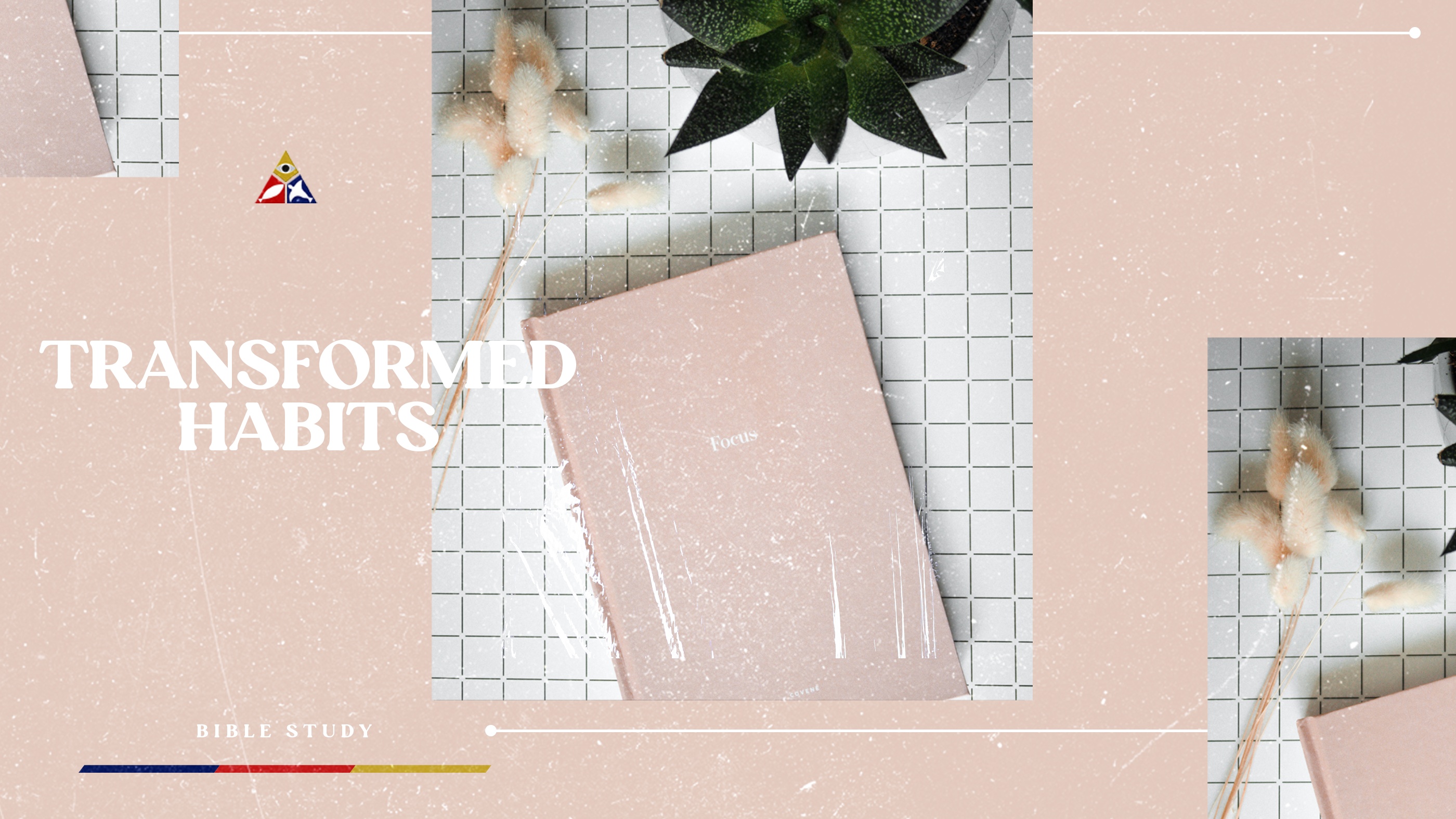 Transformed Habits | November 30, 2022