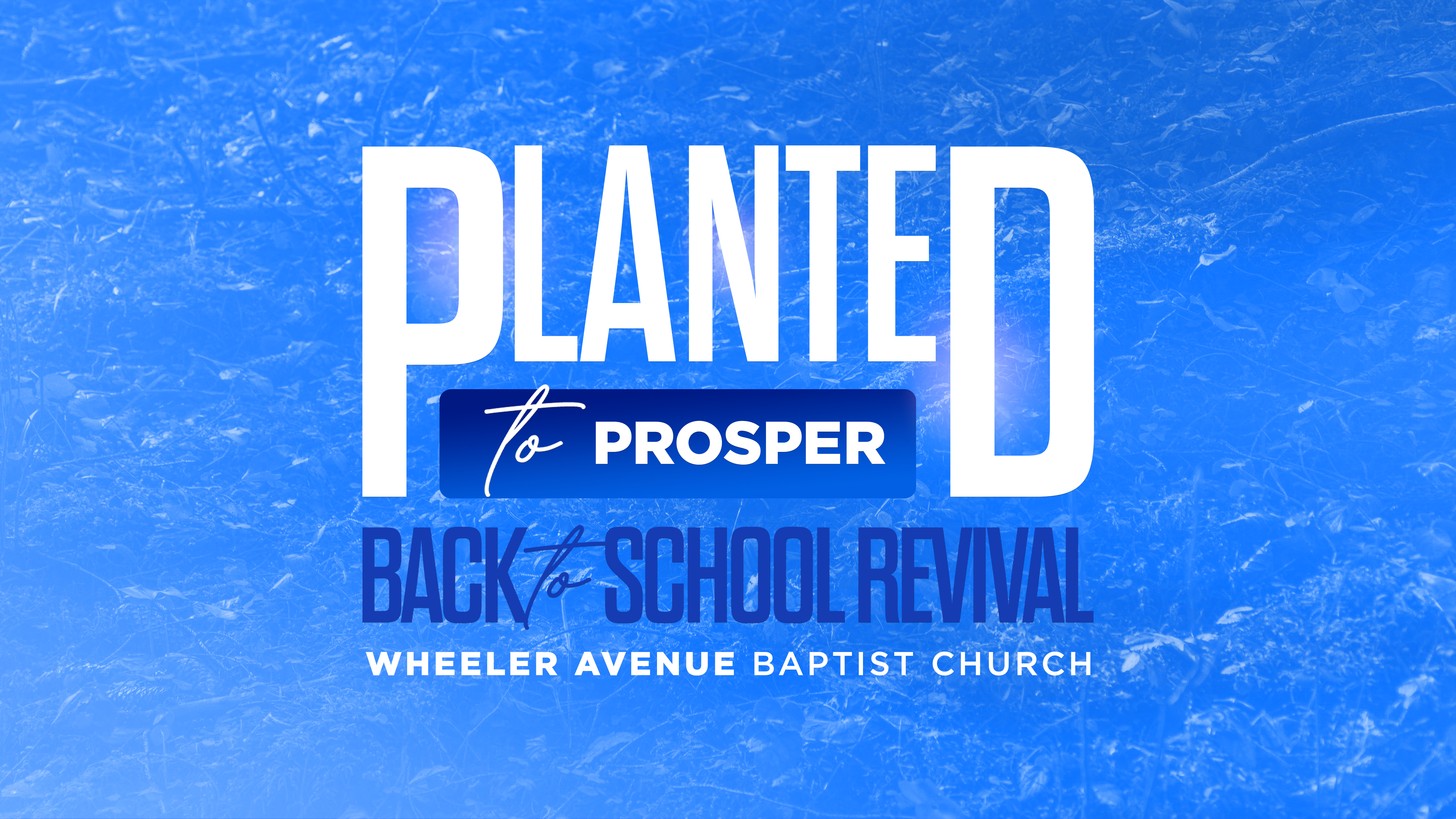 Planted to Prosper | August 8, 2025