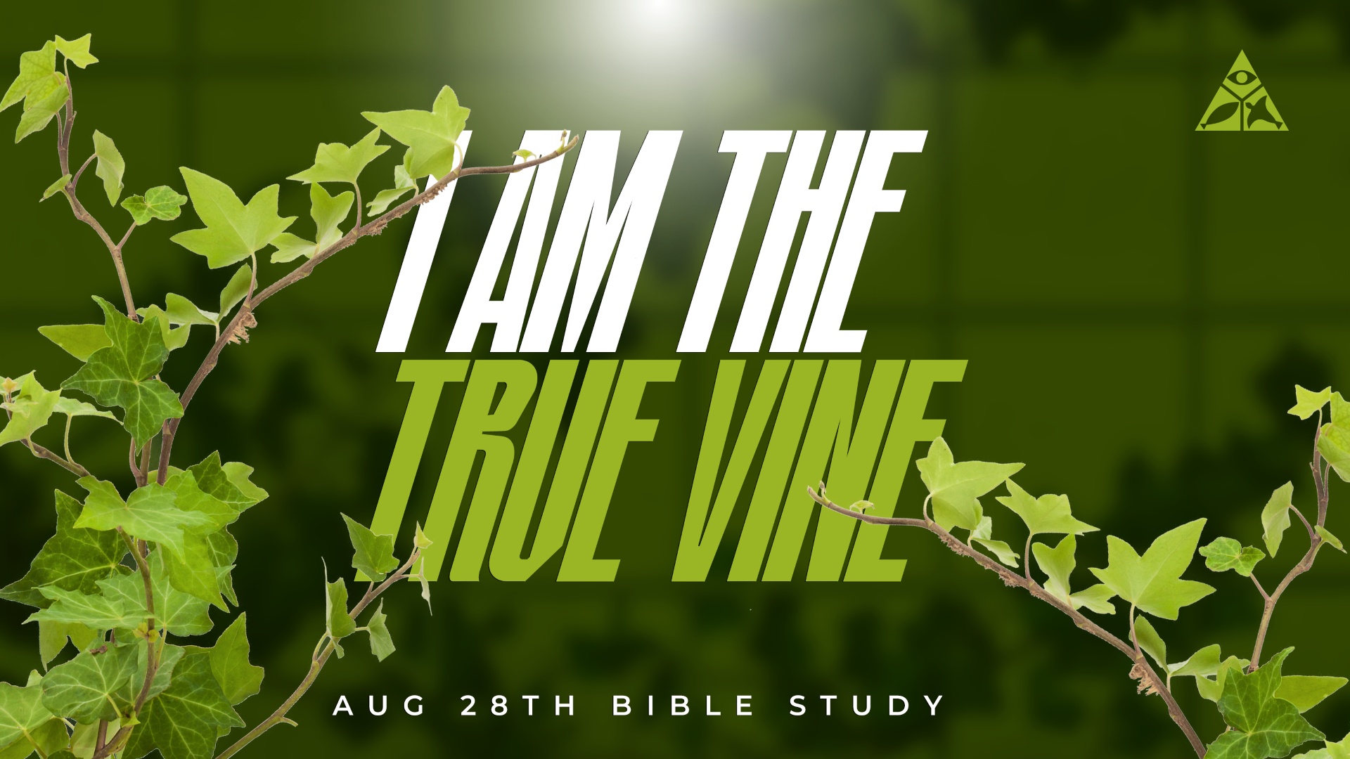 I AM the True Vine | August 28, 2024