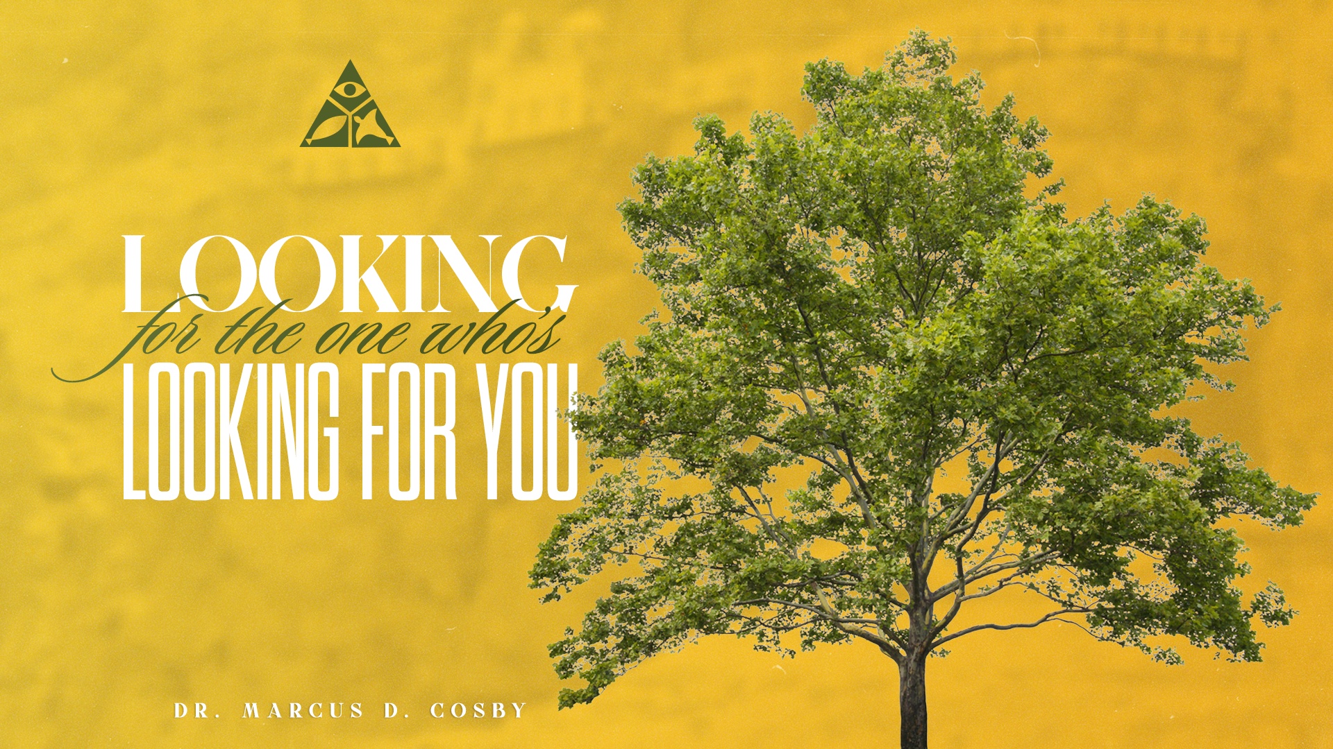 Looking for the One Who's Looking for You | July 7, 2024