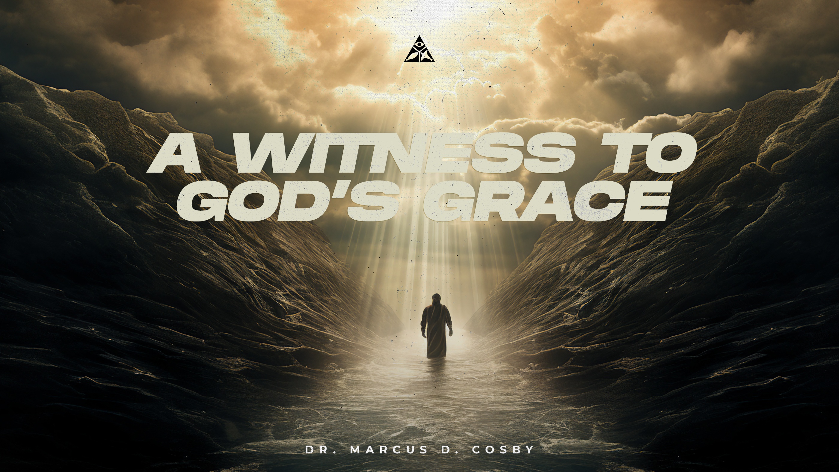 (Sermon Only) A Witnesss to God's Grace | Dr. Marcus D. Cosby