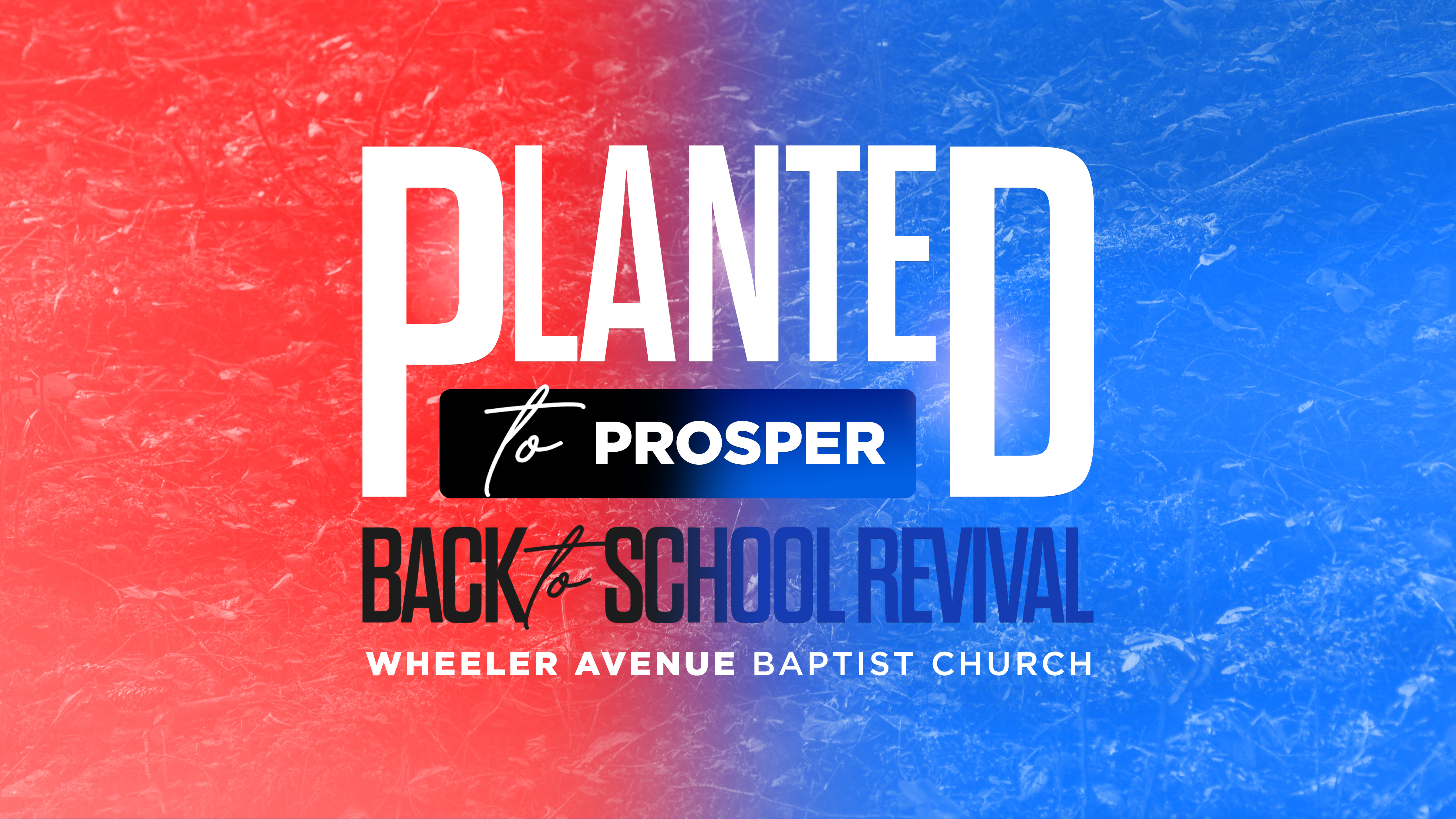 Planted to Prosper - Back to School Revival | August 7-8, 2025