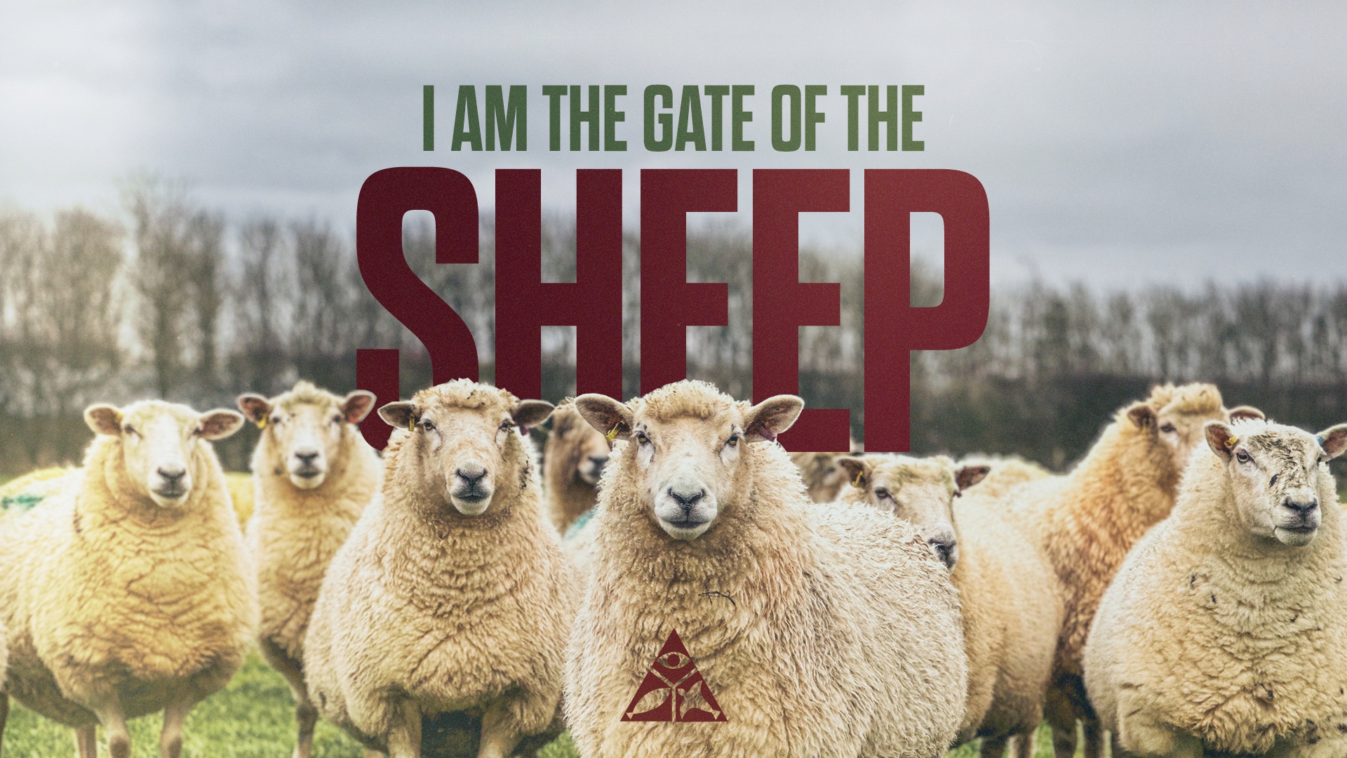 I AM the Gate of the Sheep | July 3, 2024