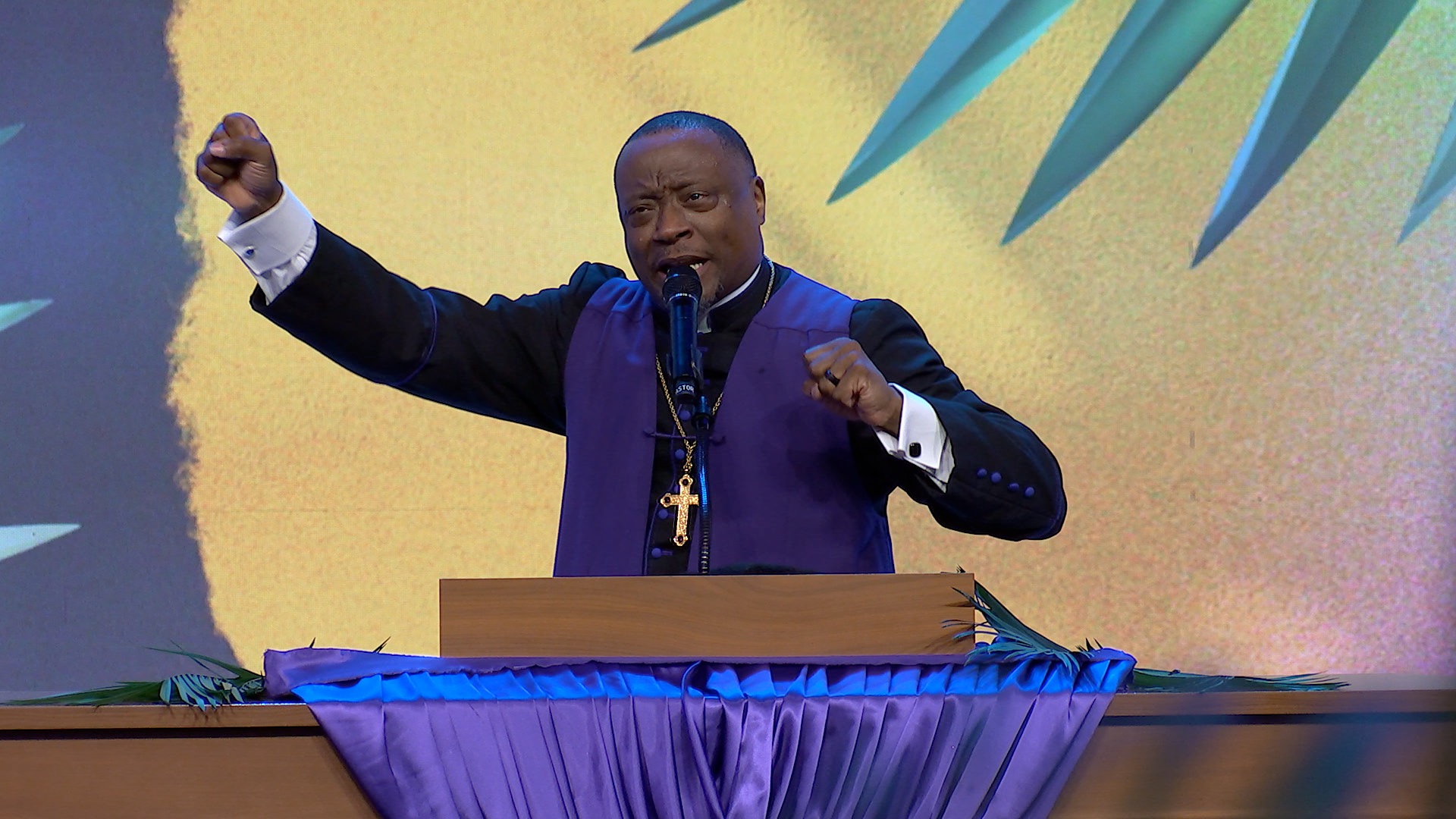 The King is Coming! (Sermon Only)