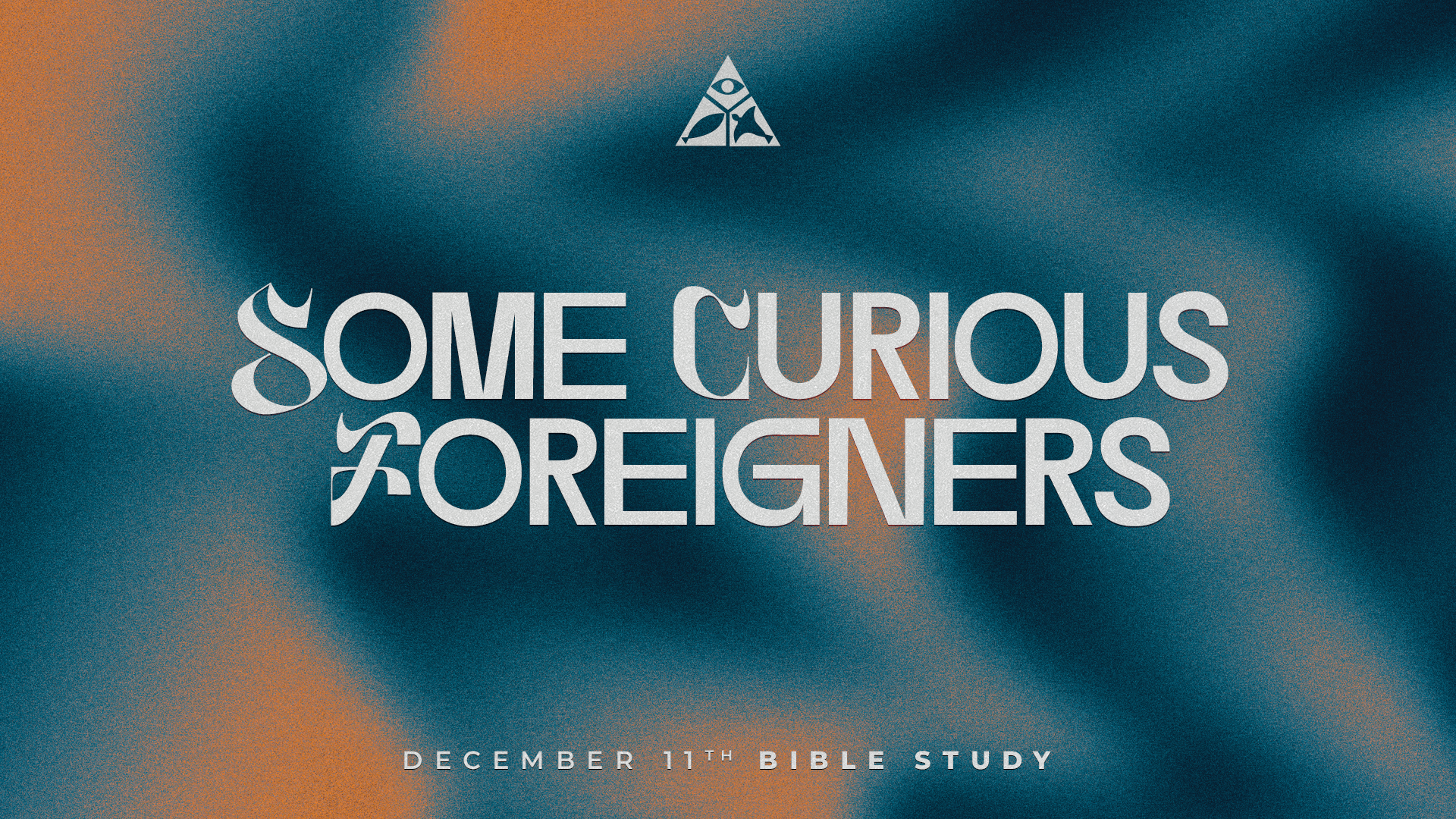 Some Curious Foreigners | December 11, 2024