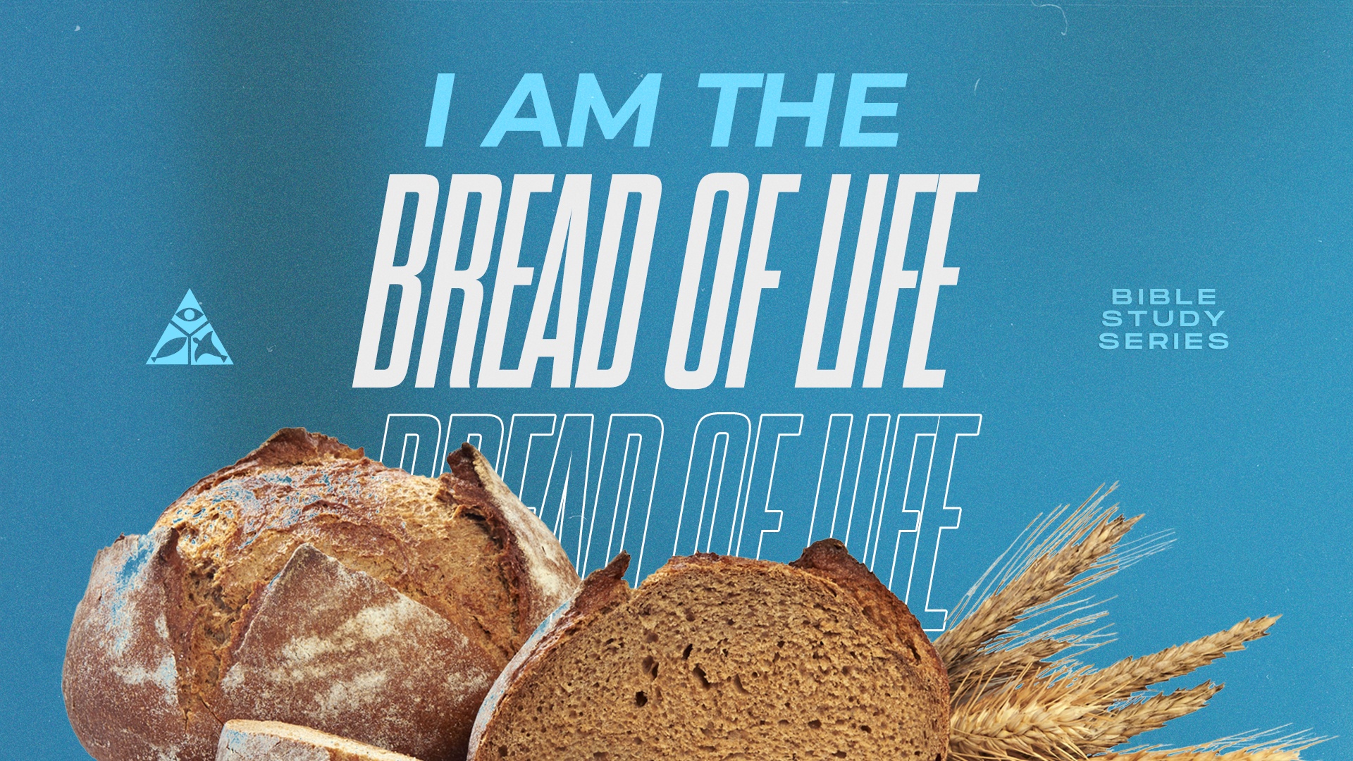I AM the Bread of Life | June 26, 2024