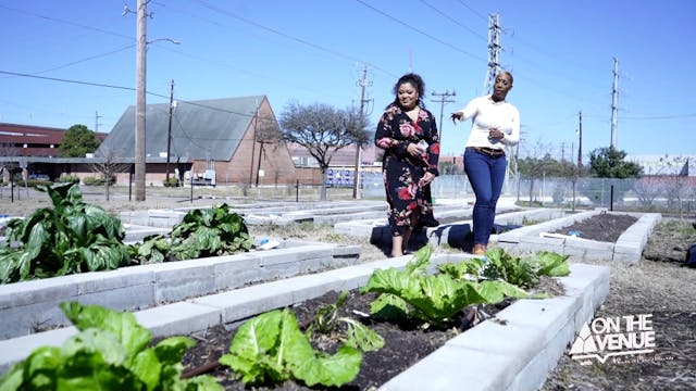 Houston Food Deserts