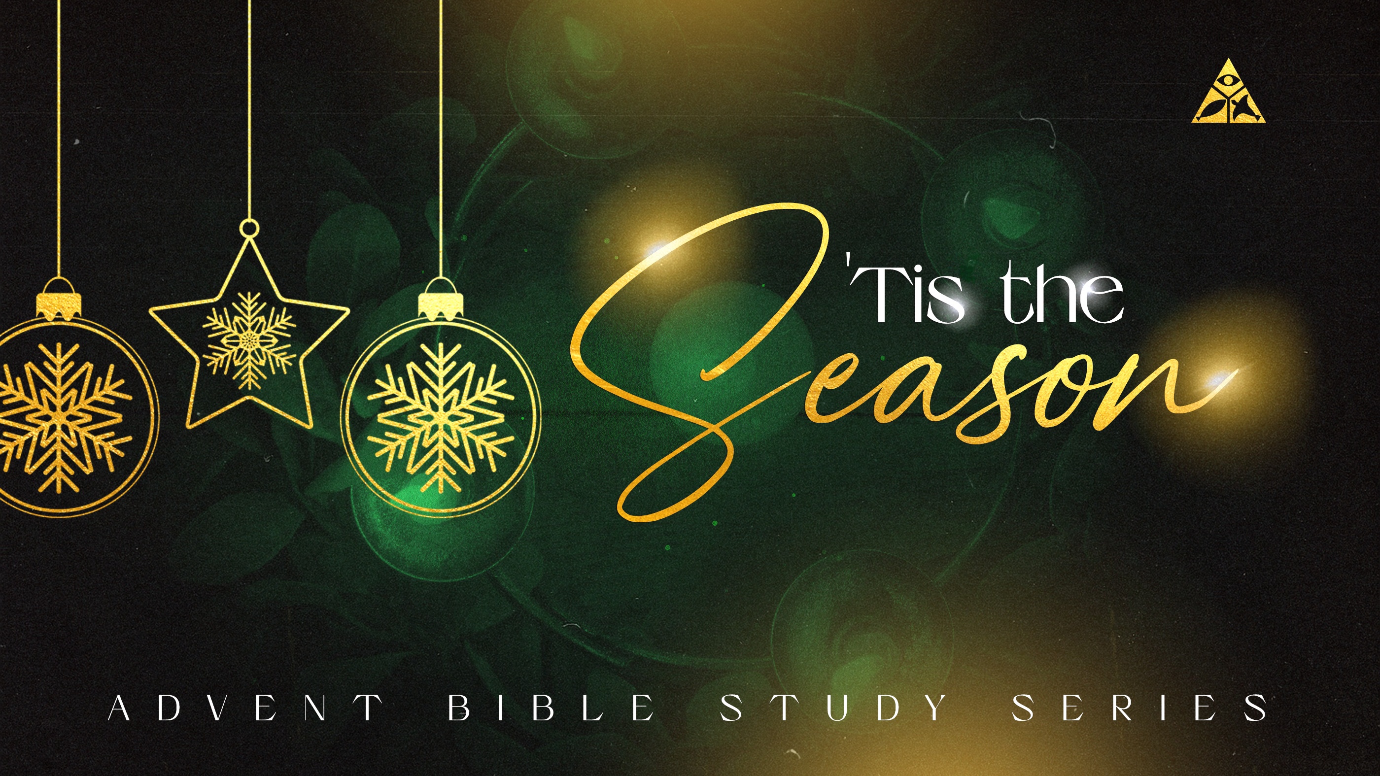 ‘Tis the Season | Bible Study Series