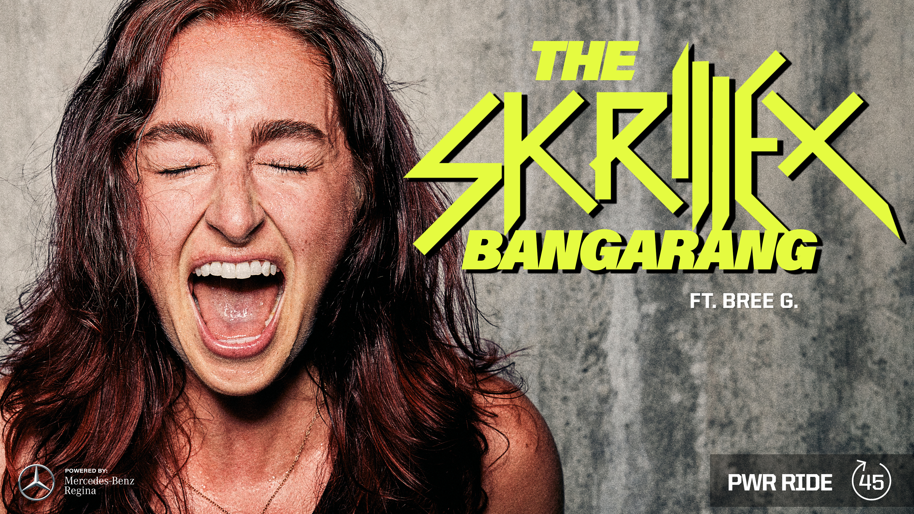 THE SKRILLEX BANGARANG ft. BREE G. 