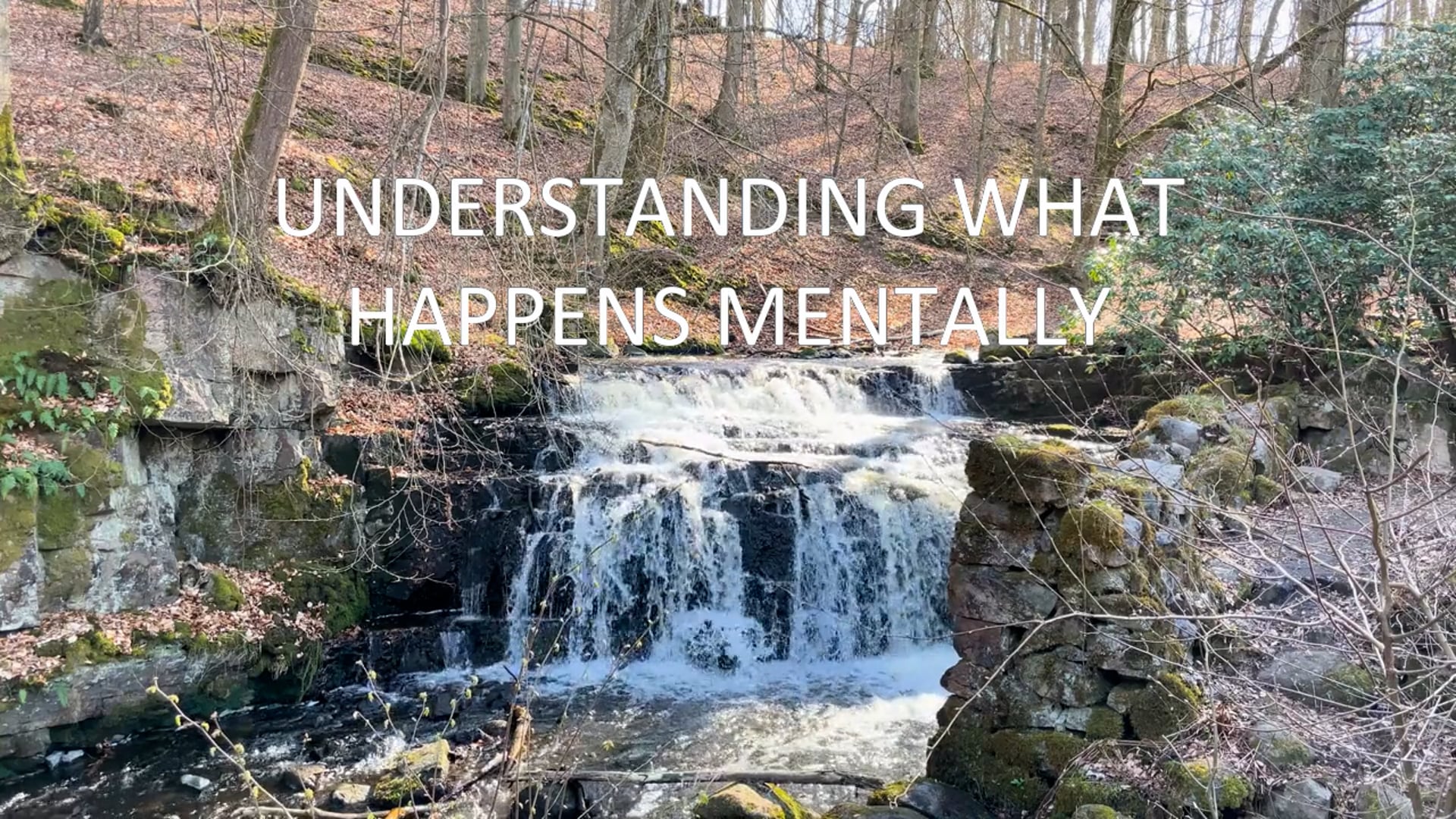 Presentation: Understanding What Happens Mentally