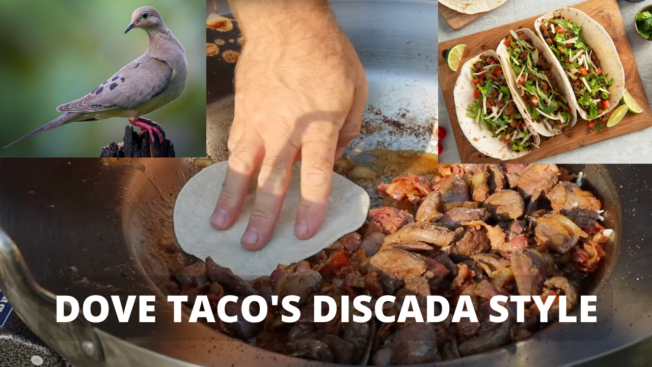 COOKING DOVE'S DISCADA STYLE