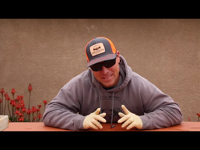 FREAKY FOUR HORN SKULL CLEANING