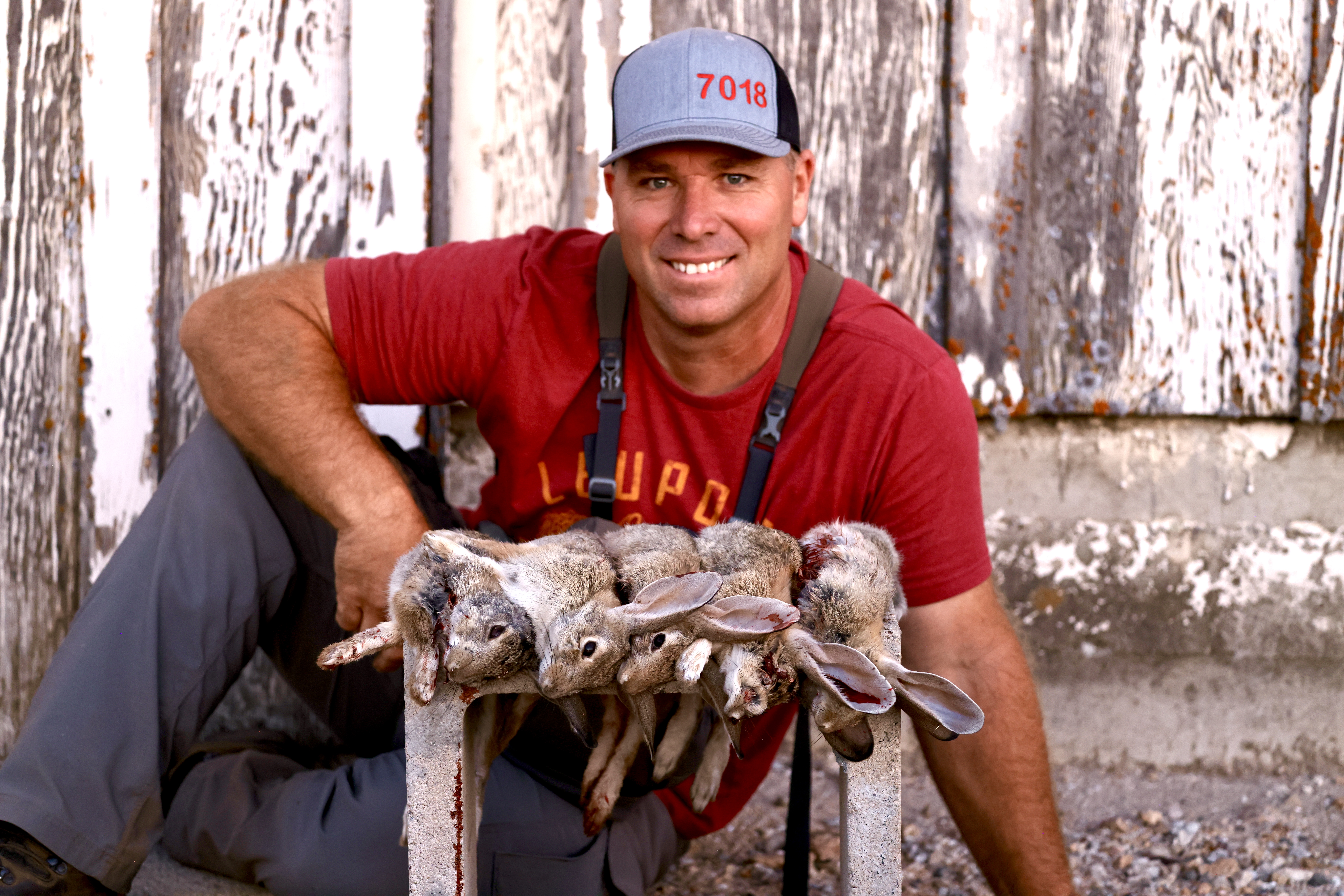 RABBIT ITS WHATS FOR DINNER