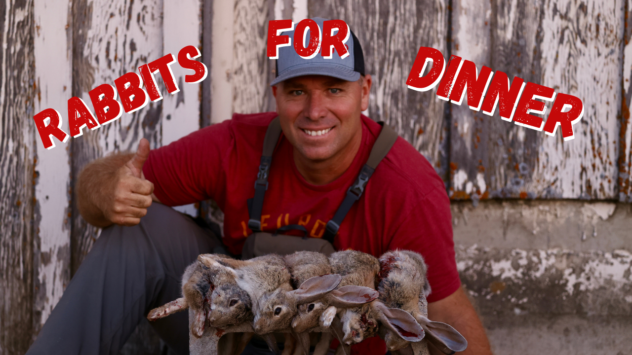 RABBITS IT'S WHATS FOR BREAKFAST