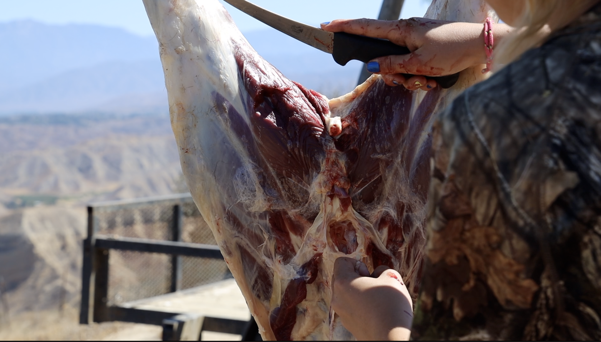 SKINNING AND GUTTING WITH BRISTOL