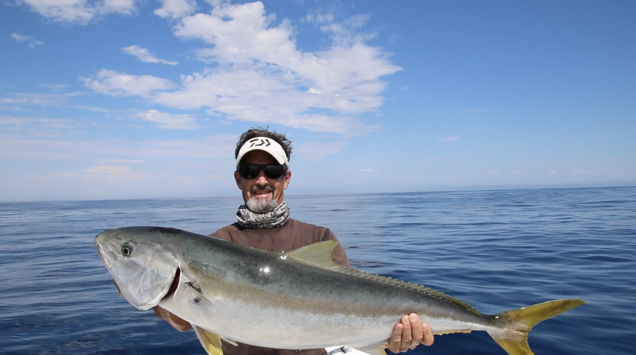 CAPTAIN DIAWA WEST COAST YELLOWS 