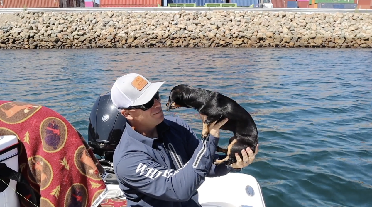 FISH LIKE A BOSS "WACKY RIG"