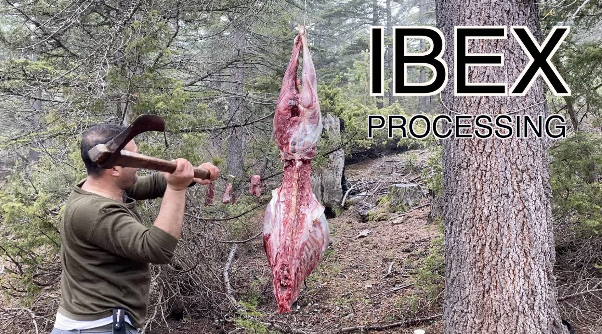 IBEX PROCESSING