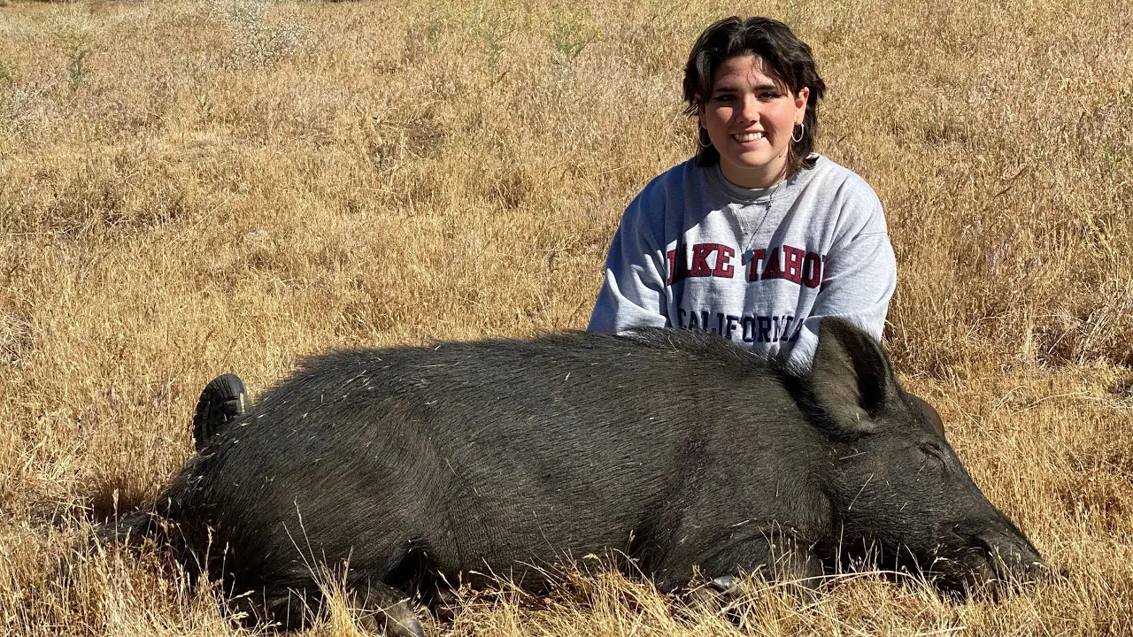 WILD PIG HUNTING IN CALIFORNIA