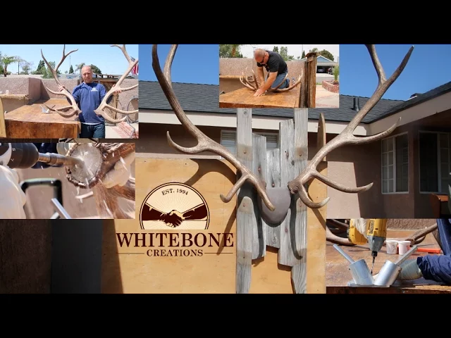 HOW TO MOUNT SHED ANTLERS DIY