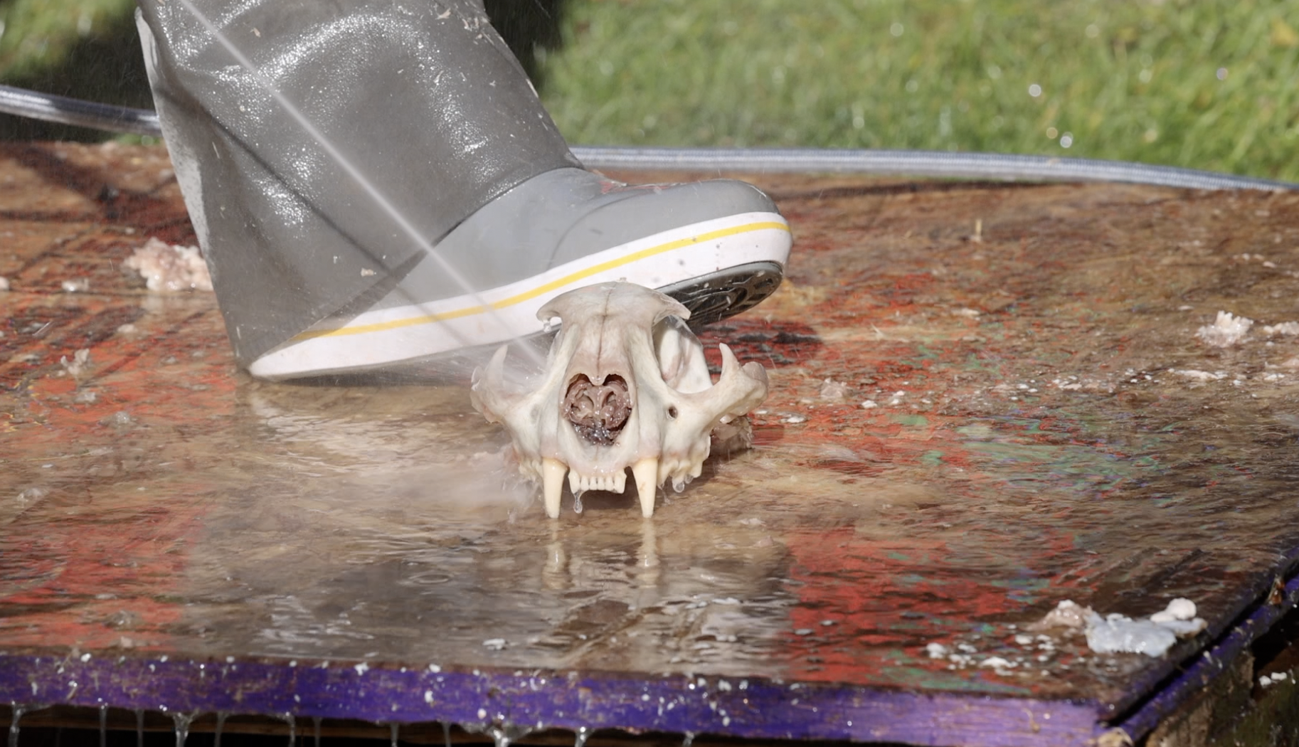 Whitebone Creations Video