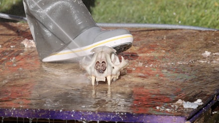 Whitebone Creations Video