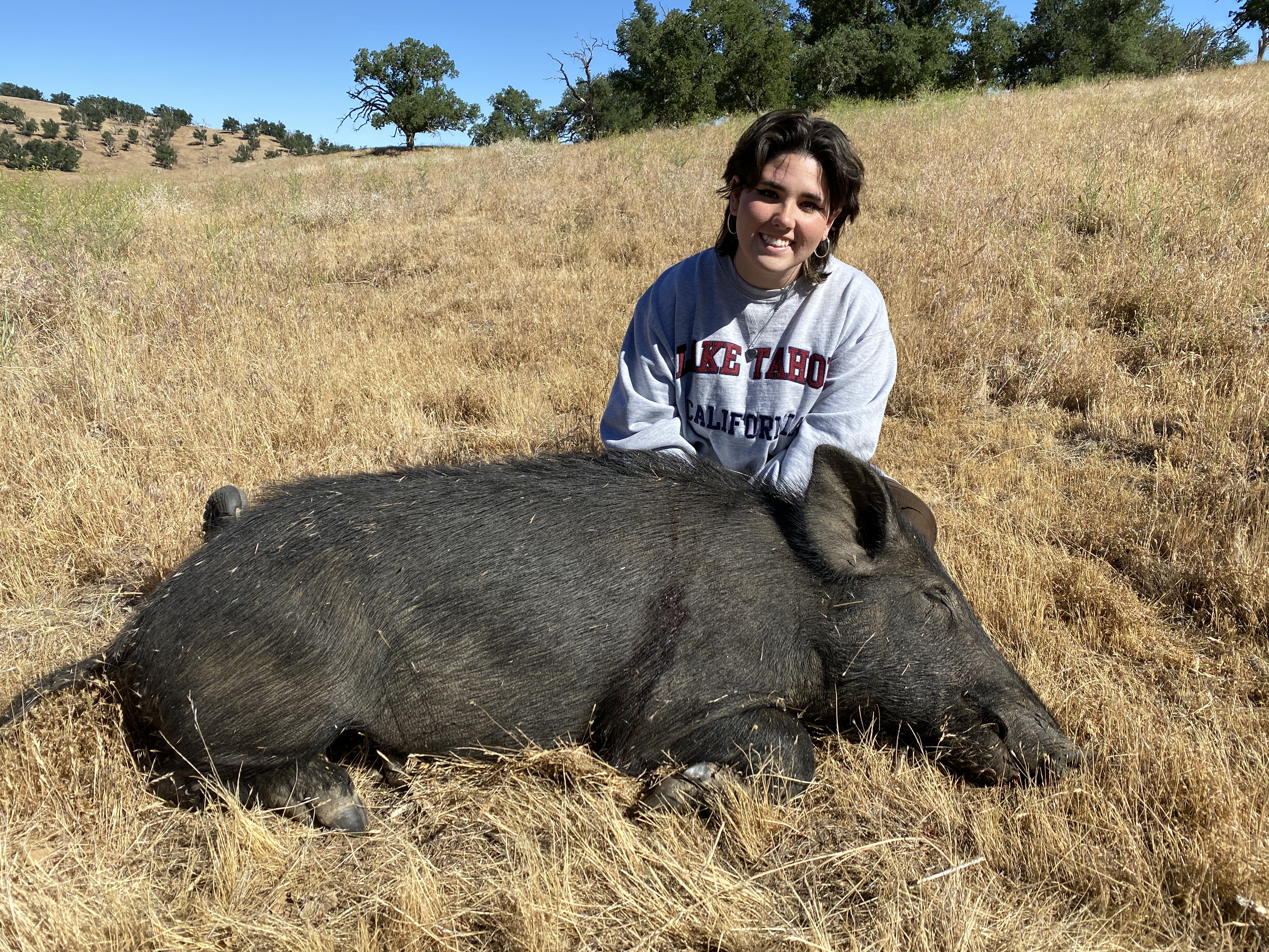WILD PIG HUNTING IN CALIFORNIA