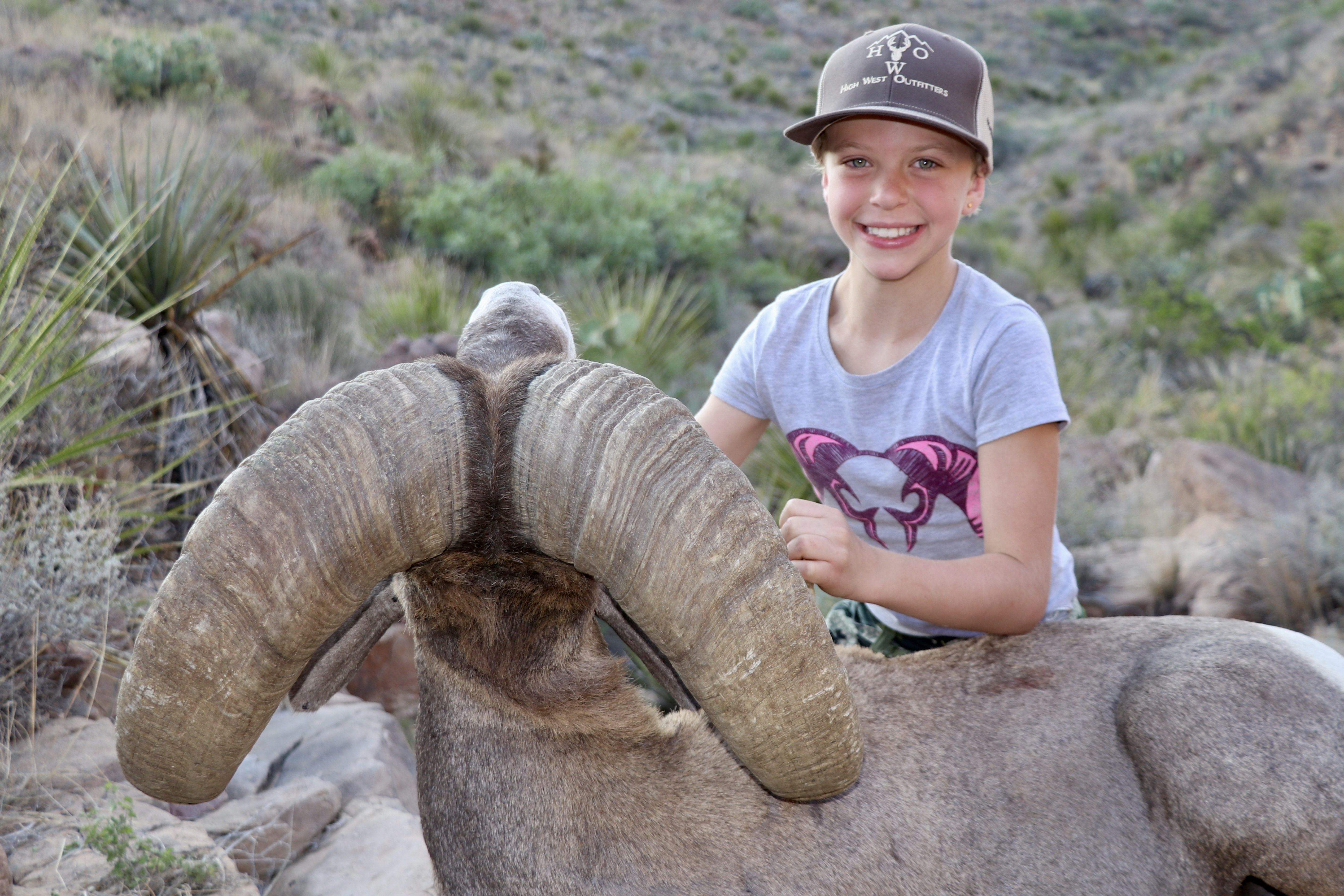 CAMI'S DESERT "GIANT FREE RANGE DESERT BIGHORN"