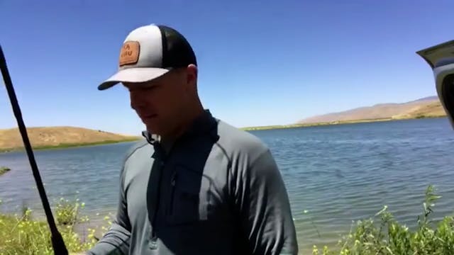 FISH LIKE A BOSS "SENKO"