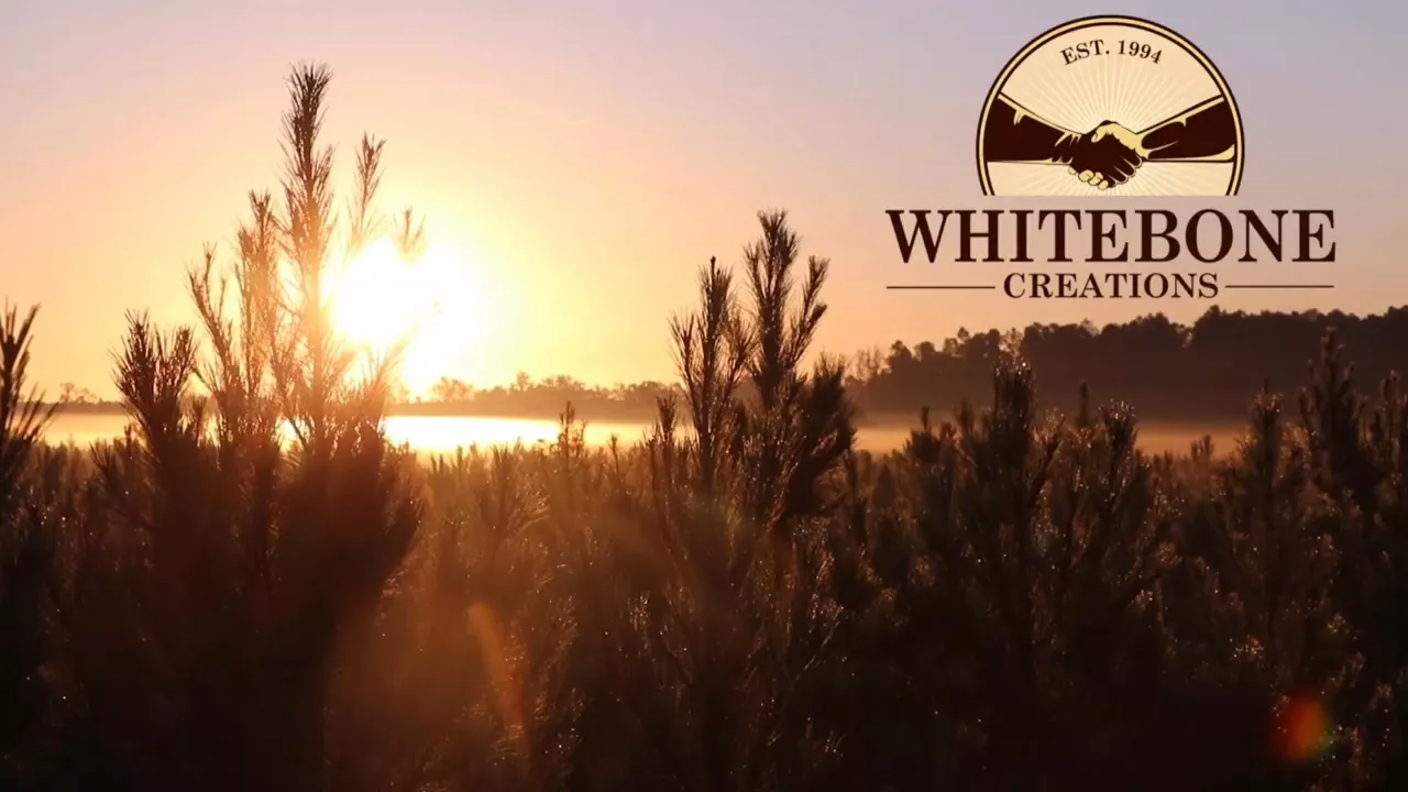 HUNTING SOUTH CAROLINA