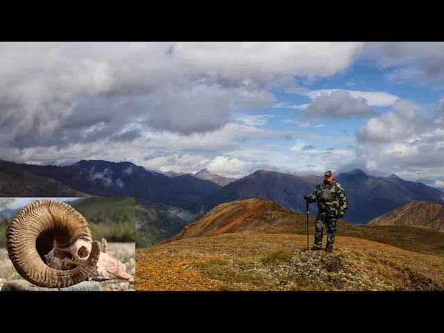 DALL SHEEP HUNT  'MISSION IMPOSSIBLE'