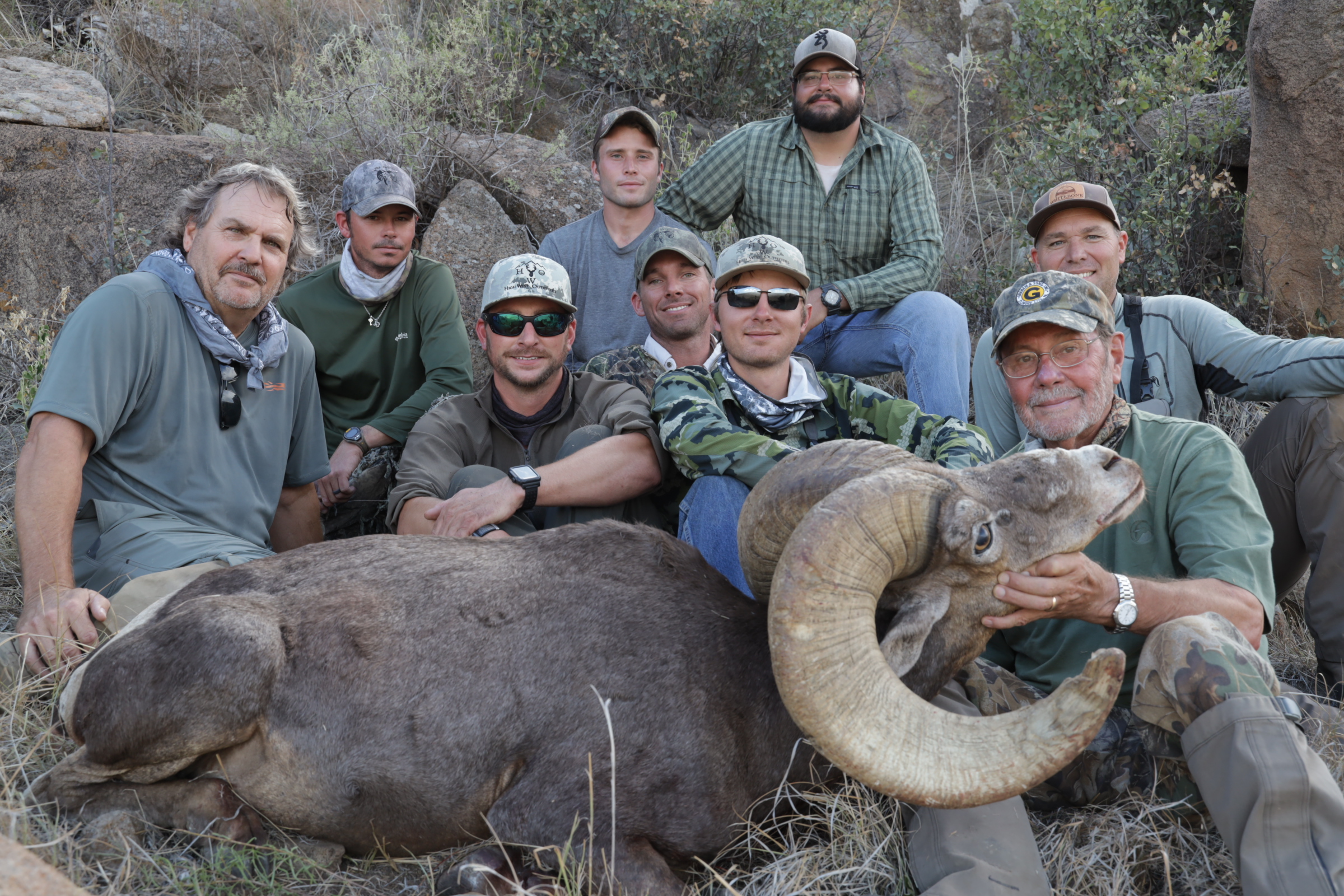 "GHOST" GIANT FREE RANGE TEXAS DESERT BIGHORN