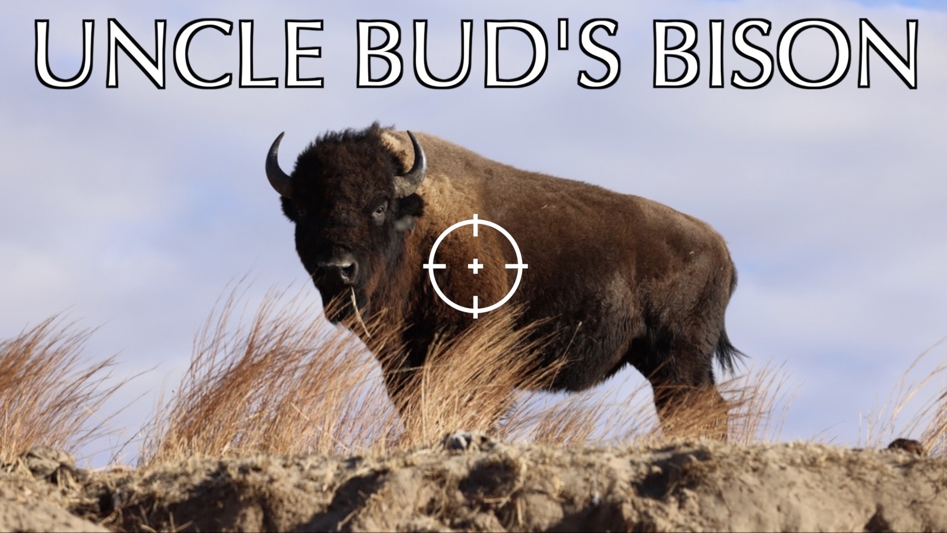 UNCLE BUD'S BISON HUNT