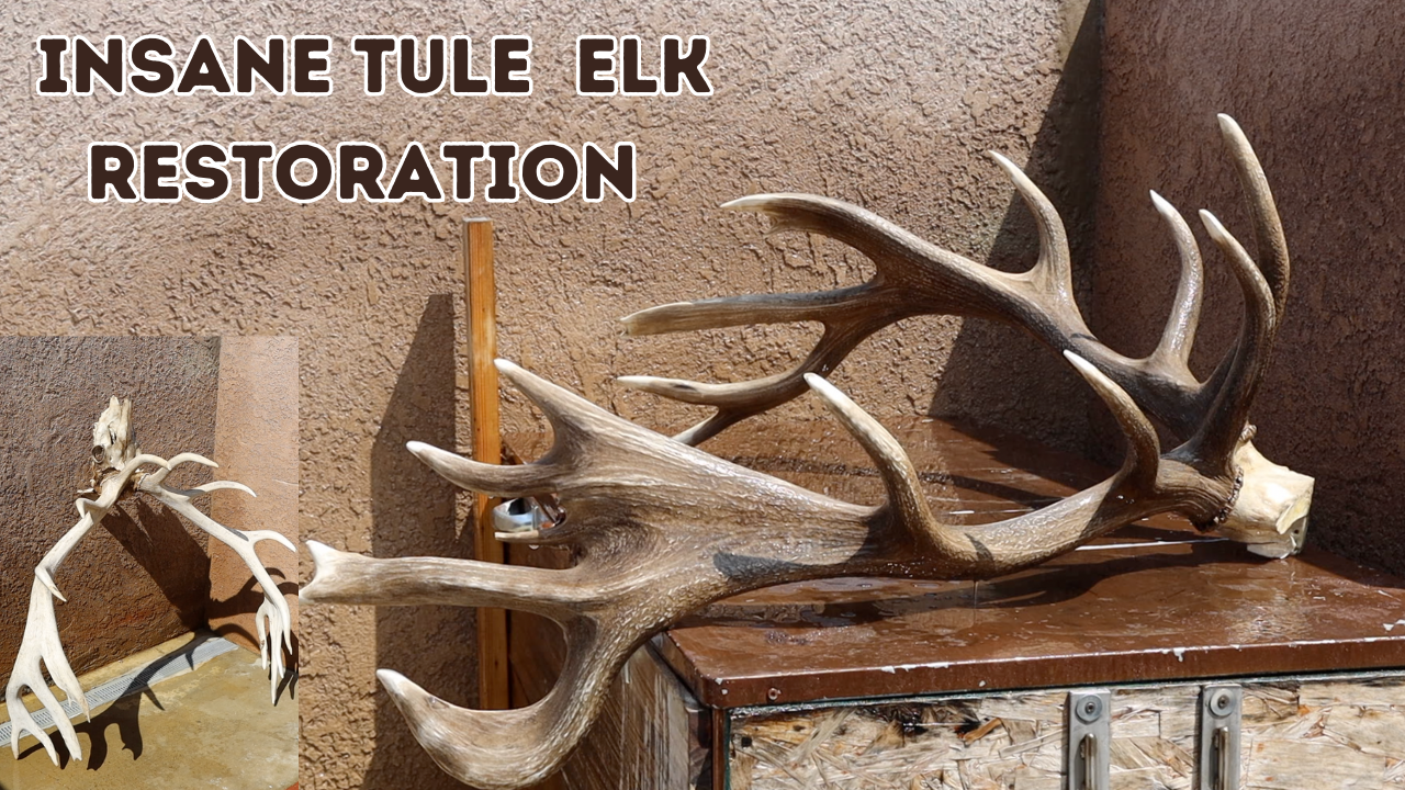 Whitebone Creations Video